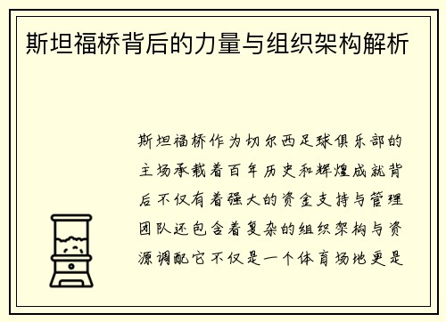 斯坦福桥背后的力量与组织架构解析