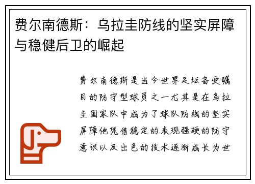 费尔南德斯：乌拉圭防线的坚实屏障与稳健后卫的崛起