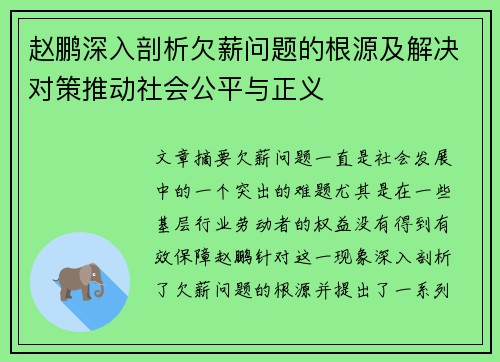 赵鹏深入剖析欠薪问题的根源及解决对策推动社会公平与正义 赵鹏深入剖析欠薪问题的根源及解决对策推动社会公平与正义